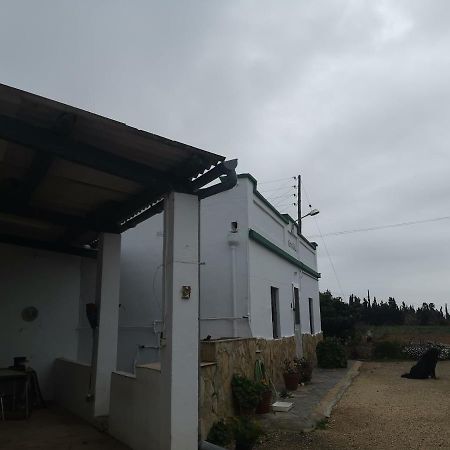 Casa Rural Masia D'En Gall L'Aldea Kültér fotó
