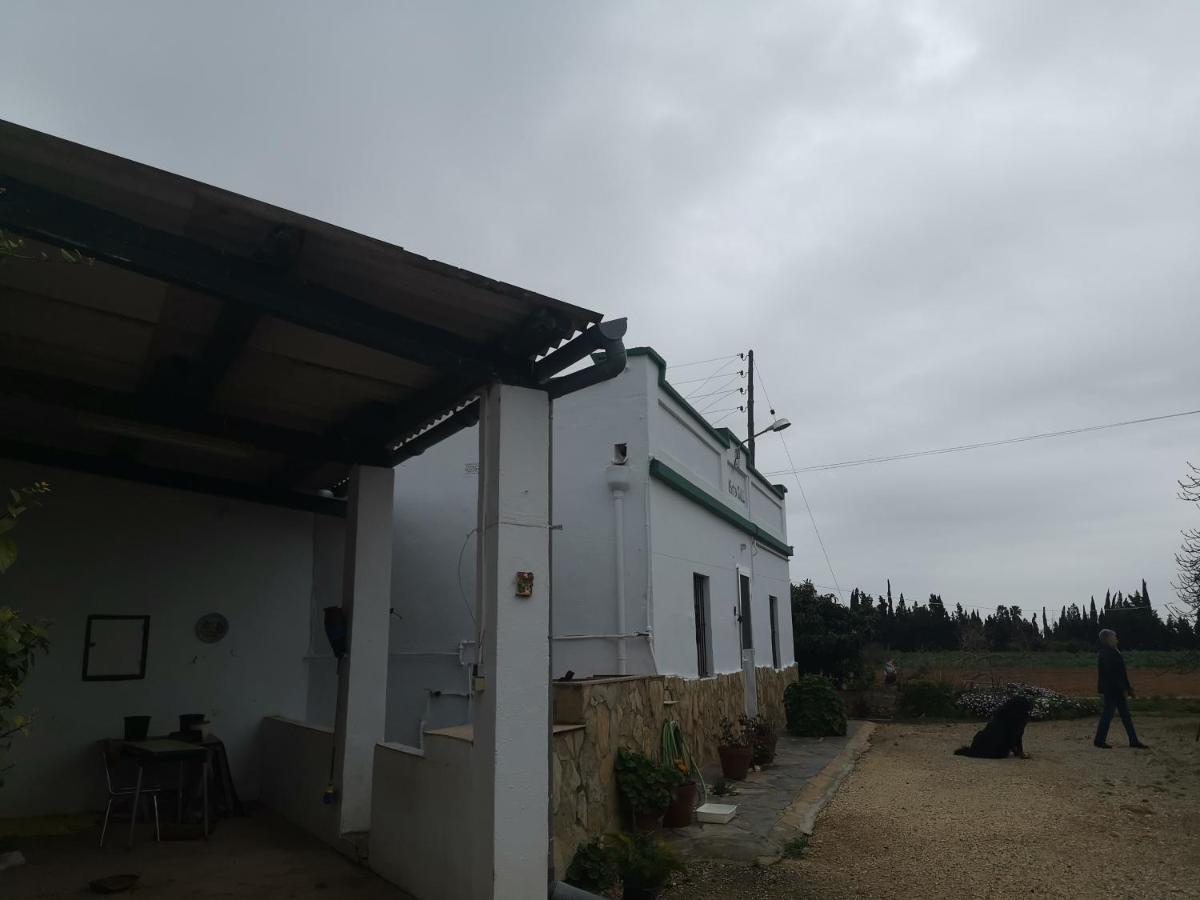 Casa Rural Masia D'En Gall L'Aldea Kültér fotó
